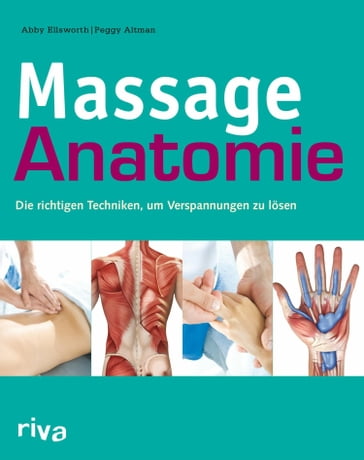 Massage-Anatomie - Abby Ellsworth - Peggy Altman