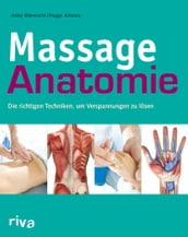 Massage-Anatomie