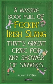 A Massive Book Full of FECKIN  IRISH SLANG that s Great Craic for Any Shower of Savages