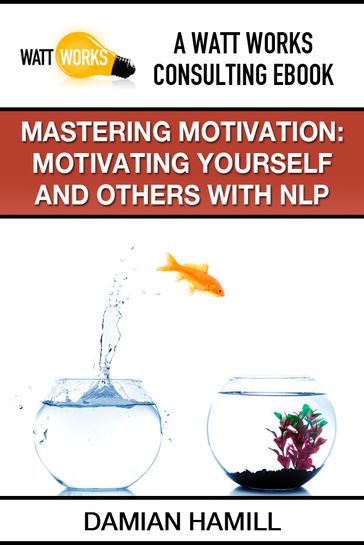 Mastering Motivation: Motivating Yourself and Others With NLP - Damian Hamill