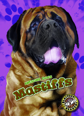 Mastiffs