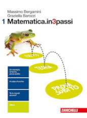 Matematica.in3passi. Per le Scuole superiori. Con aggiornamento online. Vol. 1