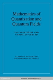 Mathematics of Quantization and Quantum Fields