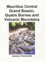 Mauritius Central Grand Bassin, Quatre Bornes and Volcanic Mountains
