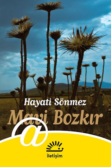 Mavi Bozkr - Hayati Sonmez