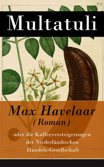 Max Havelaar (Roman) - Multatuli