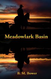 Meadowlark Basin