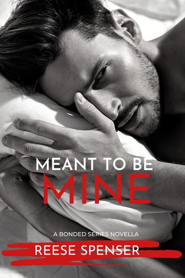 Meant to Be Mine - REESE SPENSER