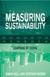 Measuring Sustainability