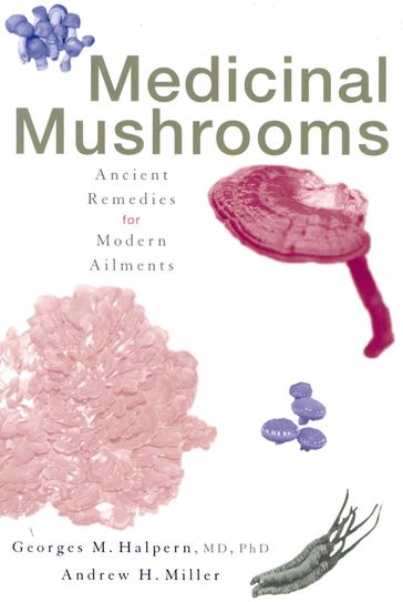 Medicinal Mushrooms - Andrew P. Miller - Georges M. Halpern