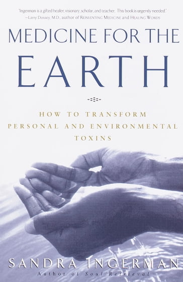 Medicine for the Earth - Sandra Ingerman