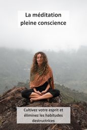 La Méditation Pleine Conscience