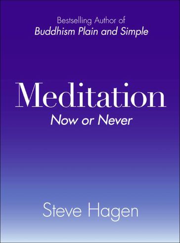 Meditation - Steve Hagen
