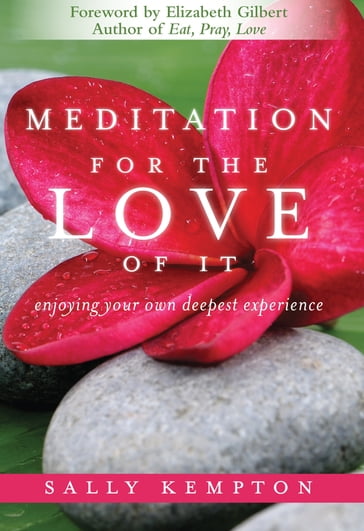 Meditation for the Love of It - Sally Kempton