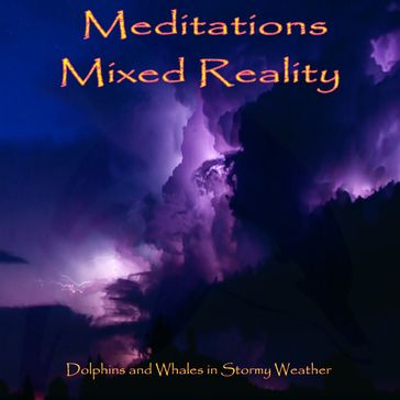 Meditations Mixed Reality - Dolphins and Whales in Stormy Weather - Anthony Morse