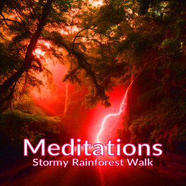 Meditations - Stormy Rainforest Walk - Ashby Navis - Tennyson Media Publisher