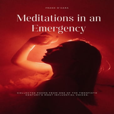 Meditations in an Emergency - Frank O Hara