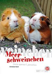 Meerschweinchen