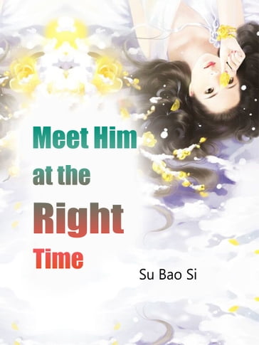 Meet Him at the Right Time - Fancy Novel - Su Baosi