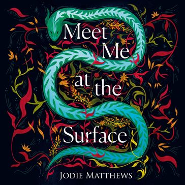 Meet Me at the Surface: A haunting literary debut - Jodie Matthews
