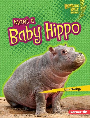 Meet a Baby Hippo - Lisa Owings