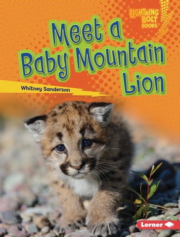 Meet a Baby Mountain Lion - Whitney Sanderson