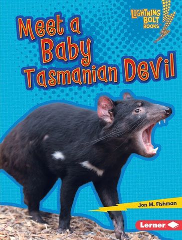 Meet a Baby Tasmanian Devil - Jon M. Fishman