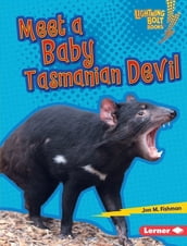 Meet a Baby Tasmanian Devil