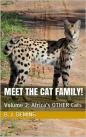 Meet the Cat Family!: Africa s Other Cats