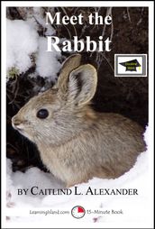 Meet the Rabbit: A 15-Minute Book for Early Readers, Educational Version