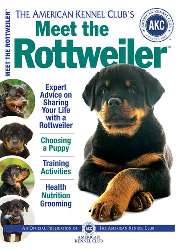 Meet the Rottweiler - American Kennel Club