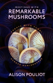 Meetings with Remarkable Mushrooms