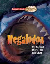 Megalodon