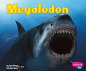 Megalodon