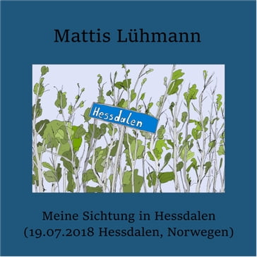 Meine Sichtung in Hessdalen (19.07.2018 Hessdalen, Norwegen) - Mattis Luhmann