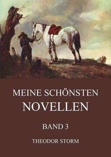 Meine schönsten Novellen, Band 3 - Theodor Storm