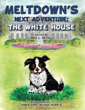 Meltdown s Next Adventure: the White House