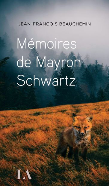 Mémoires de Mayron Schwartz - Jean-François Beauchemin