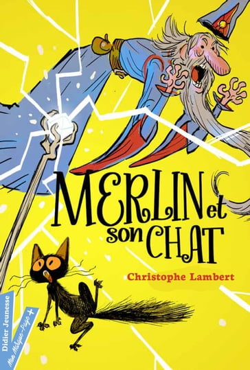 Merlin et son chat - Christophe Lambert