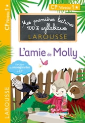 Mes premières lectures 100 % syllabiques L ami de Molly