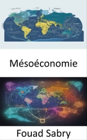 Mésoéconomie