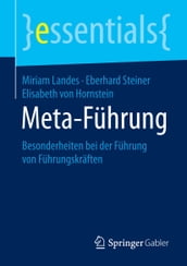 Meta-Führung