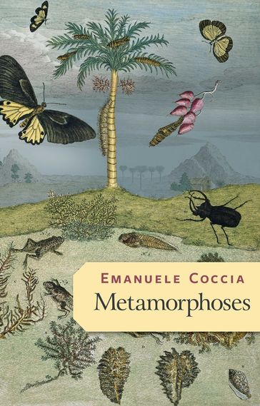 Metamorphoses - Coccia Emanuele