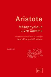 Métaphysique, livre Gamma