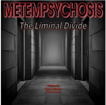 Metempsychosis - Book One: The Liminal Divide - Reinventor
