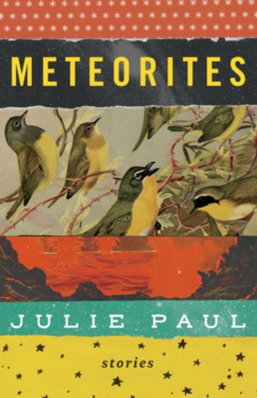 Meteorites - Julie Paul