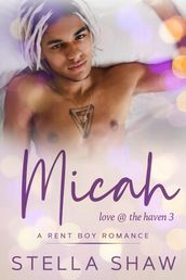 Micah, Love at the Haven 3