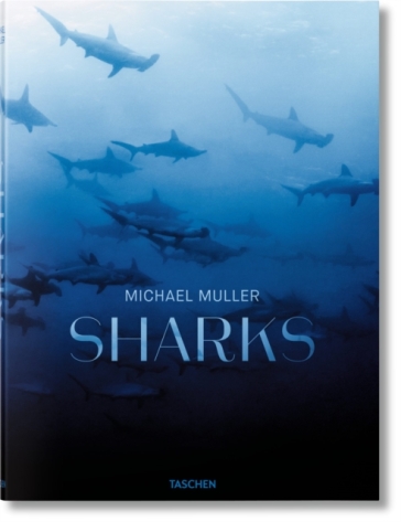 Michael Muller. Sharks - Arty Nelson - Dr. Alison Kock - Jr. Cousteau