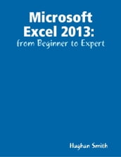 Microsoft Excel 2013 from Beginner to Expert