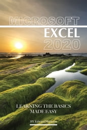 Microsoft Excel 2020: Learning the Basics Made Easy